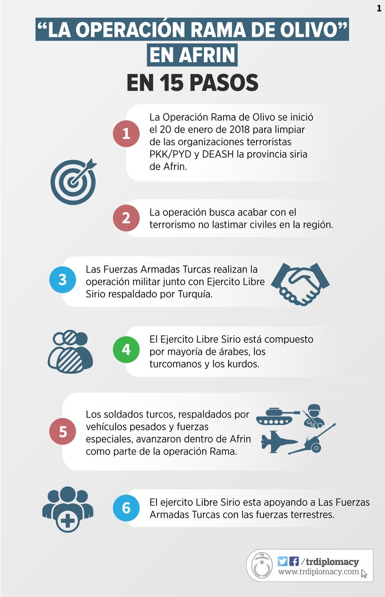 La Operación Rama de Olivo en 15 pasos