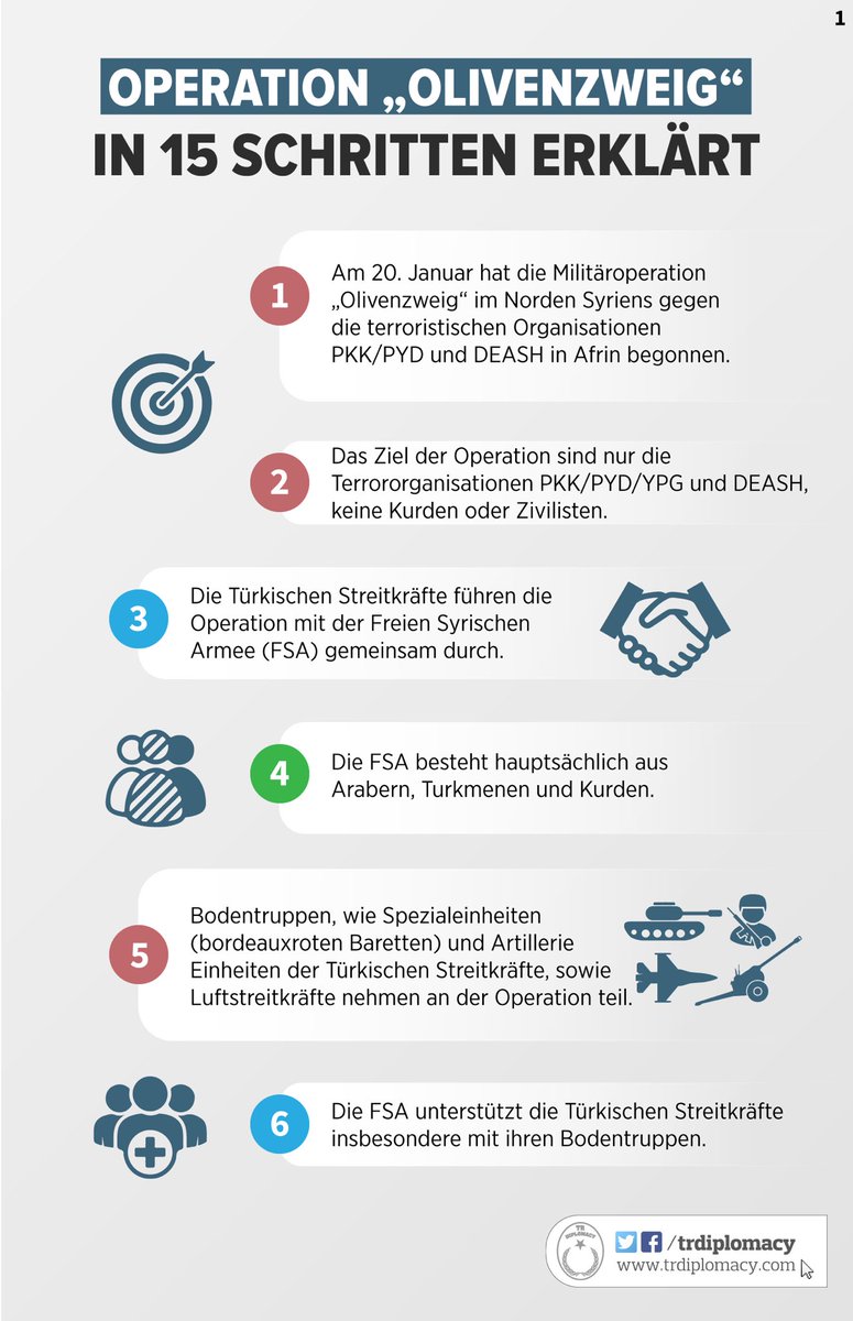 Operation Olivenzweig in 15 Schritten Erklärt