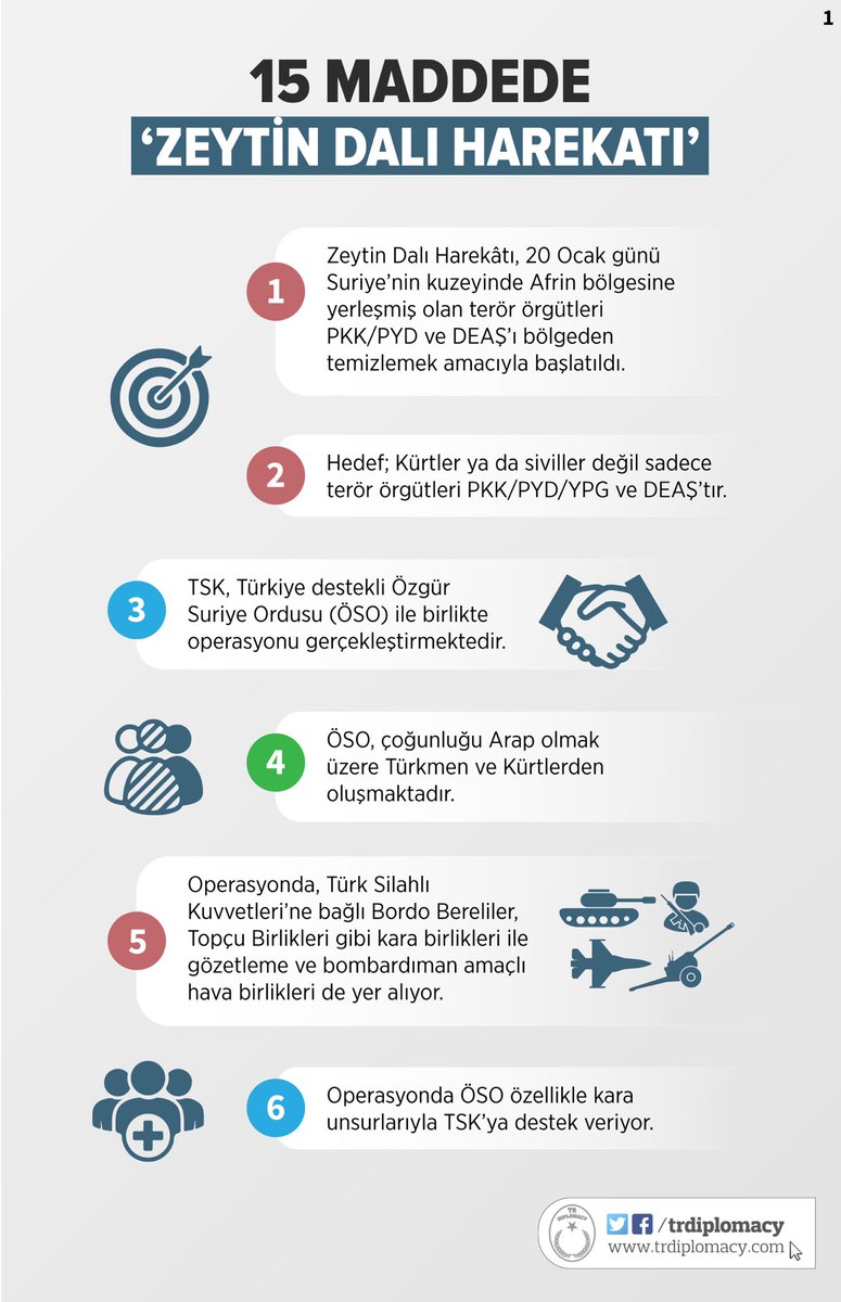 15 Maddede Zeytin Dalı Harekatı