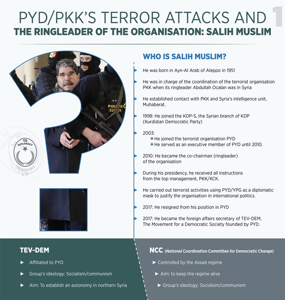 Who is Salih Maslem released by Czechia?