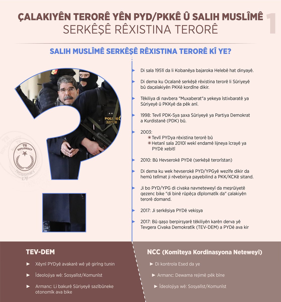 Salih Muslîmê ku Çekyayê serbest berda kî ye?