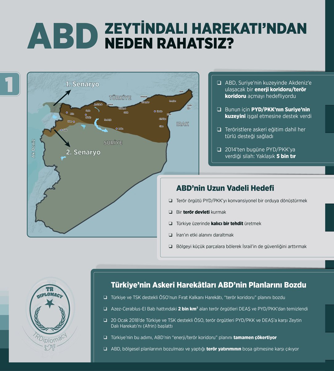 ABD Zeytin Dalı Harekatı'ndan Neden Rahatsız?